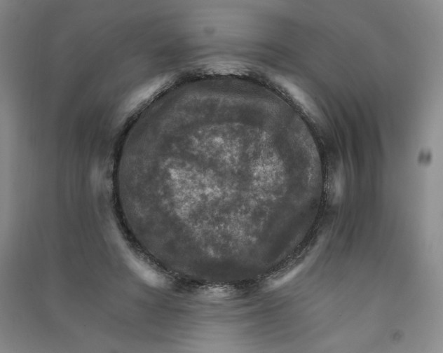 X0000090910402200708201746