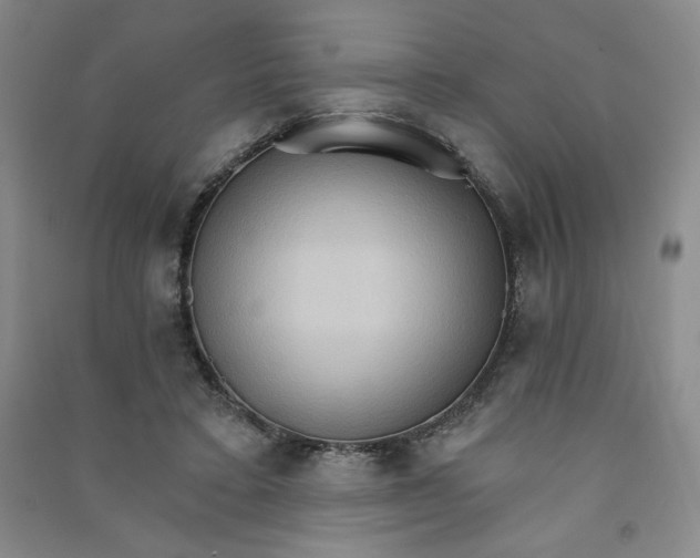 X0000090910403200708201746