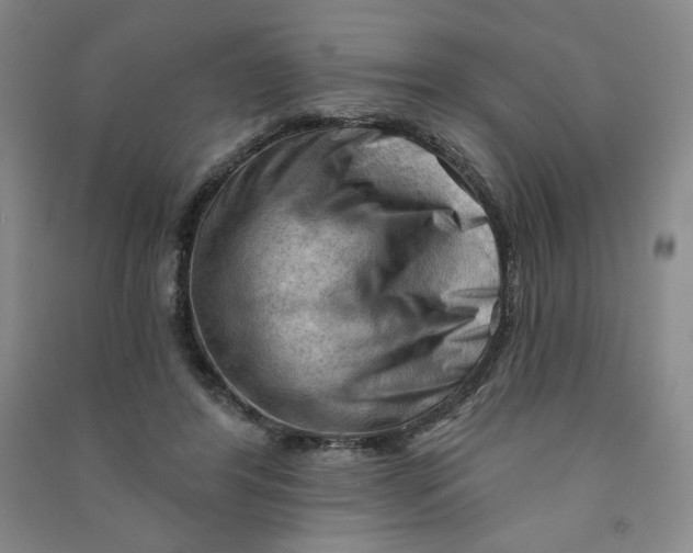 X0000090910404200708201746