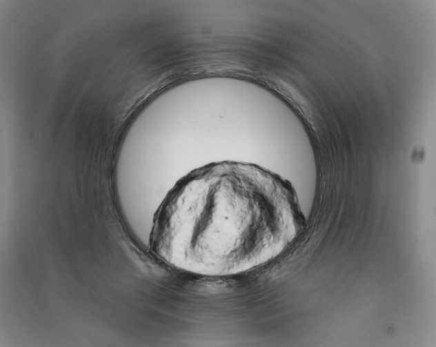 X0000090910405200708201746