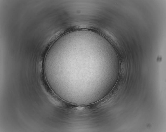 X0000090910406200708201746