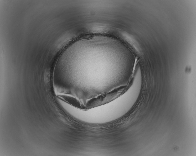 X0000090910407200708201746