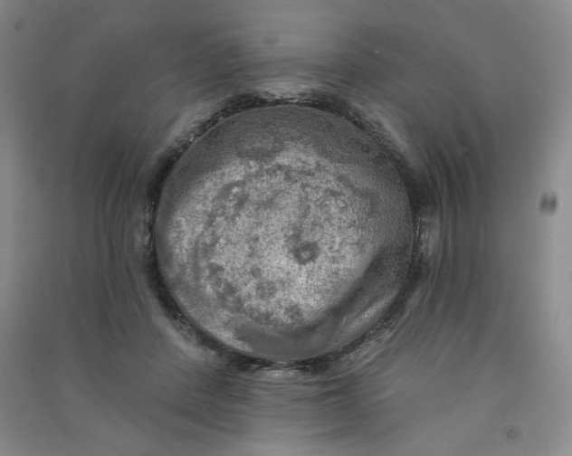 X0000090910408200708201746