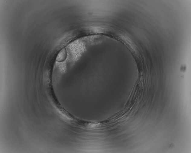 X0000090910410200708201746