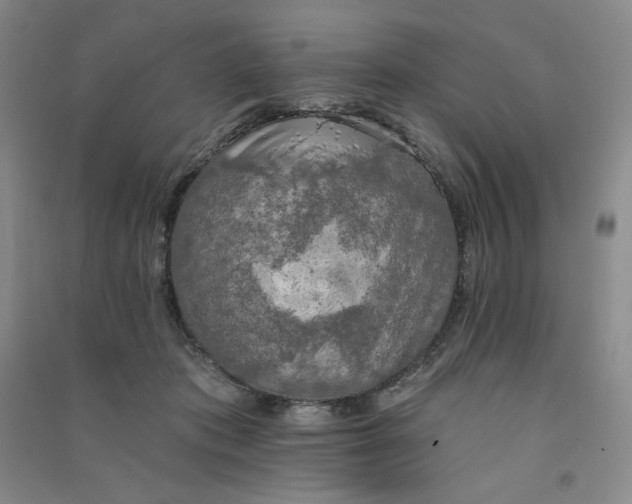 X0000090910413200708201746