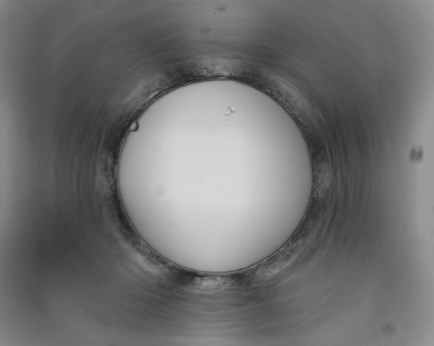 X0000090910414200708201746