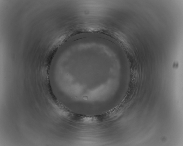 X0000090910415200708201746