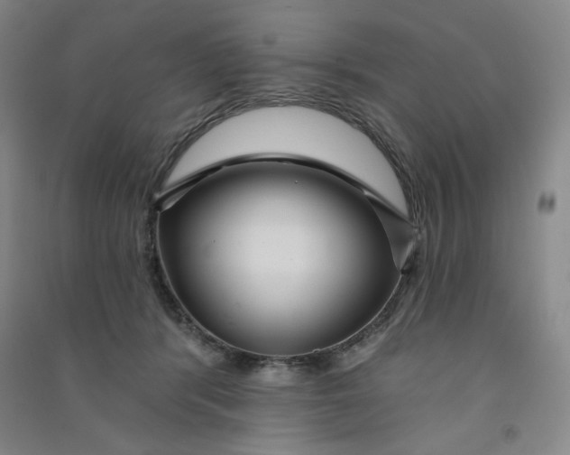 X0000090910416200708201746