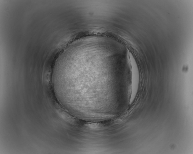 X0000090910417200708201746