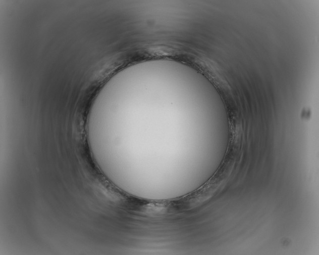 X0000090910418200708201746