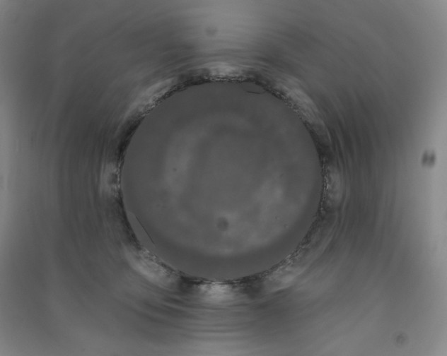 X0000090910419200708201746