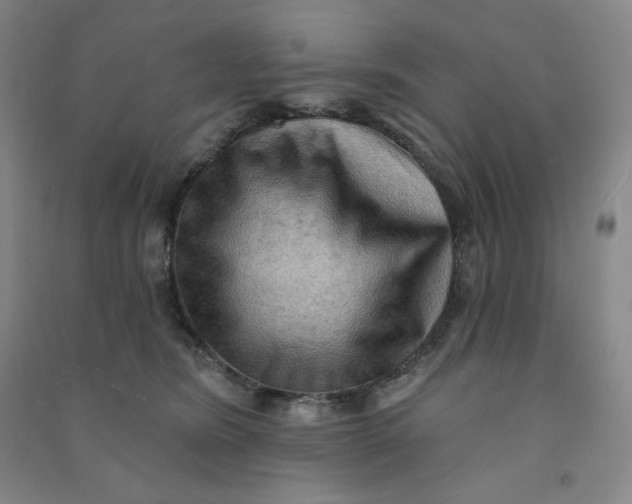 X0000090910420200708201746