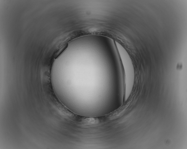 X0000090910421200708201746