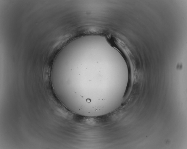 X0000090910423200708201746