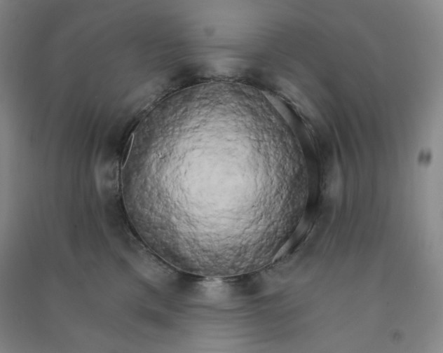 X0000090910425200708201746