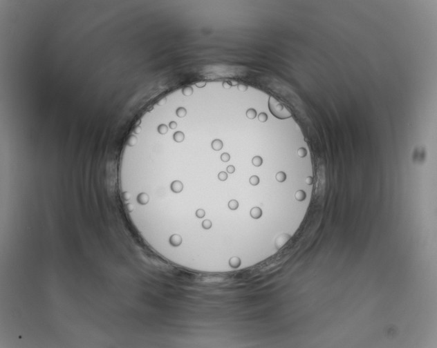 X0000090910426200708201746