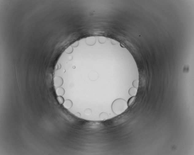 X0000090910427200708201746