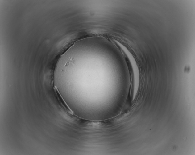 X0000090910428200708201746