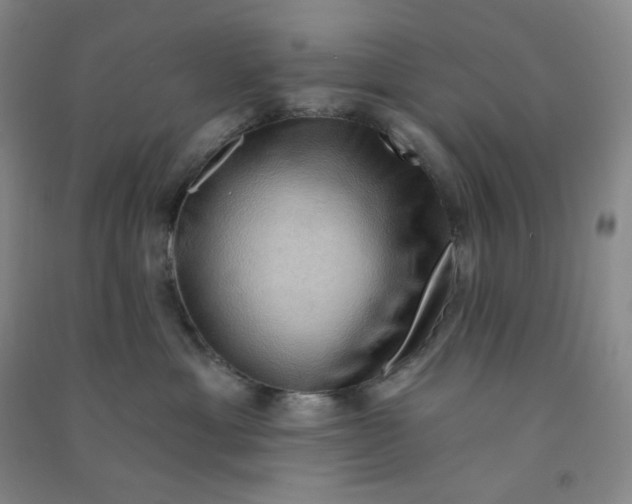 X0000090910429200708201746