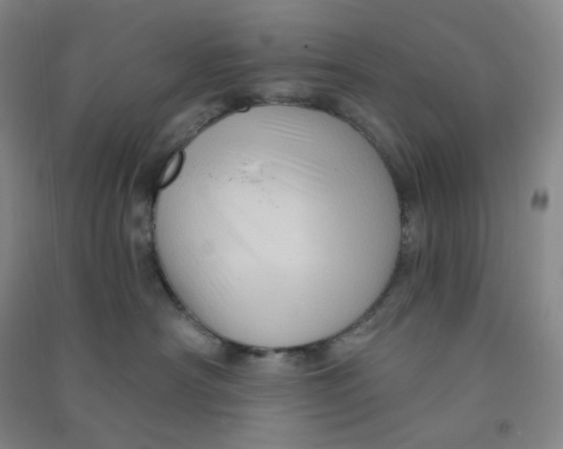 X0000090910430200708201746