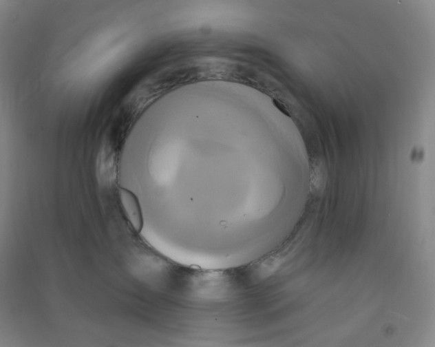 X0000090910431200708201746