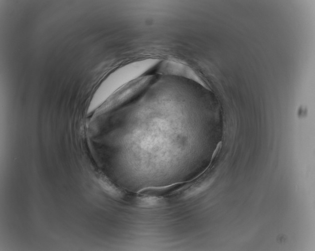 X0000090910432200708201746