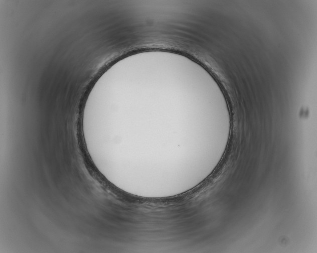 X0000090910434200708201745