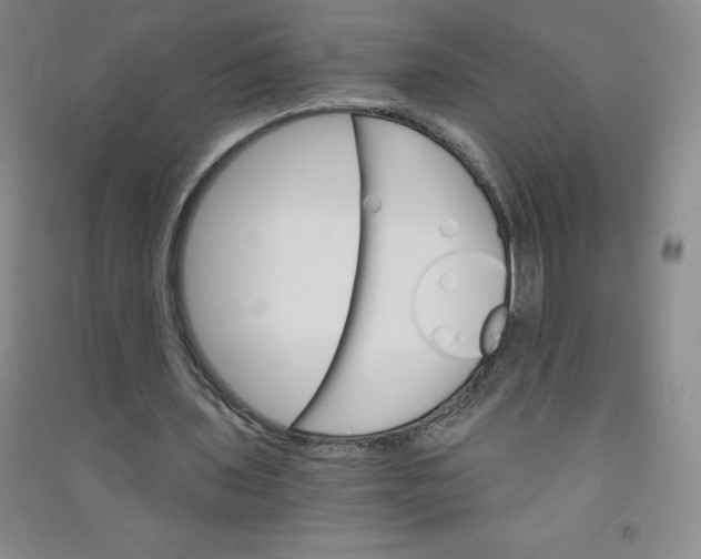 X0000090910435200708201745