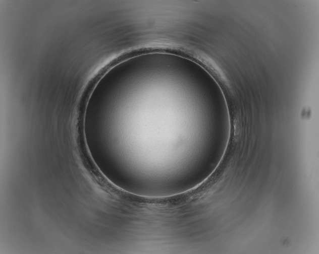 X0000090910436200708201745