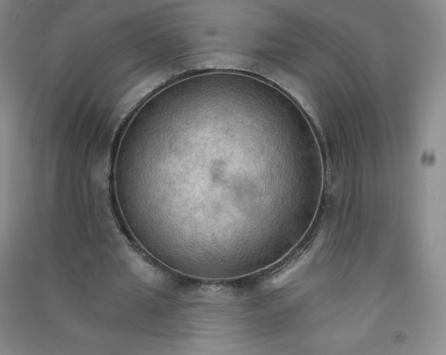 X0000090910437200708201745