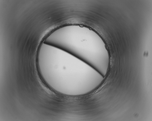 X0000090910438200708201745