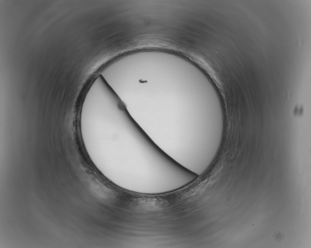 X0000090910439200708201745