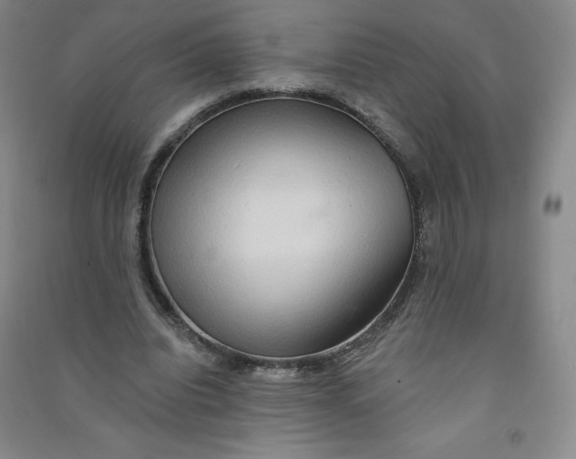 X0000090910440200708201745