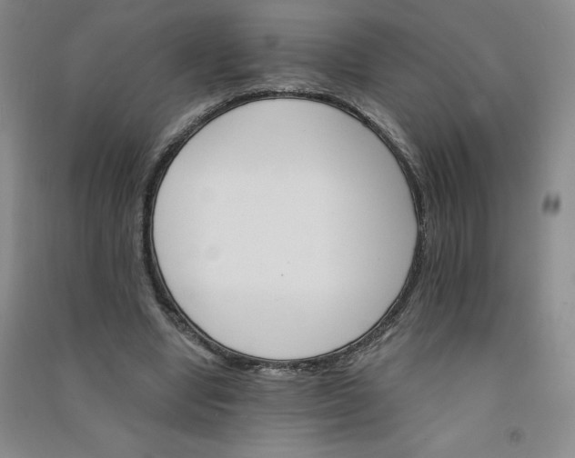 X0000090910442200708201745