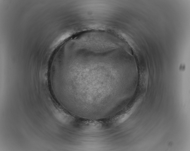 X0000090910443200708201745