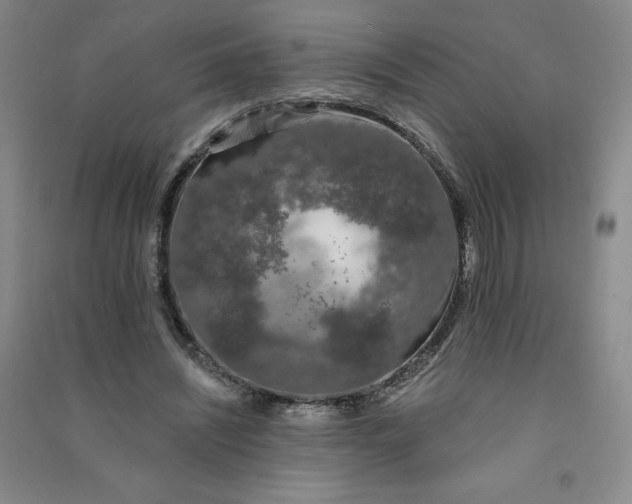 X0000090910444200708201745