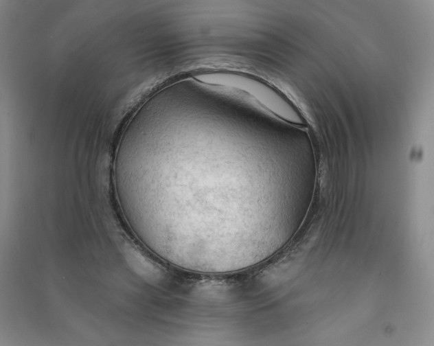 X0000090910445200708201746