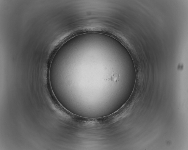 X0000090910446200708201746