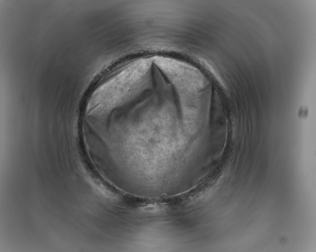 X0000090910447200708201746