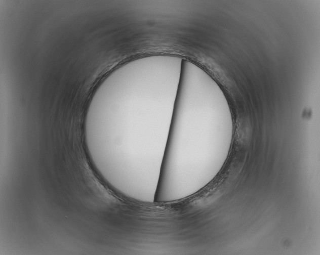 X0000090910449200708201746