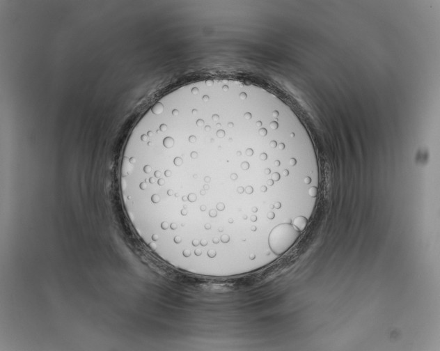 X0000090910451200708201746