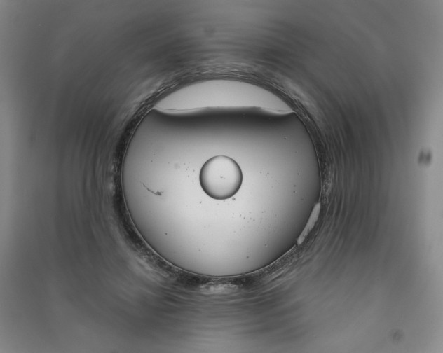 X0000090910452200708201746