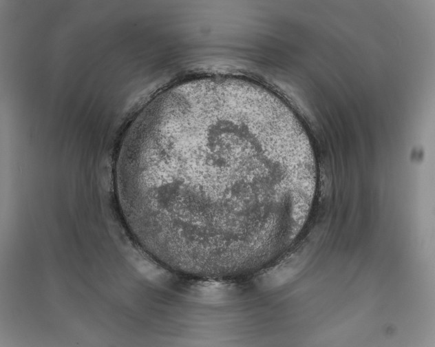 X0000090910453200708201746