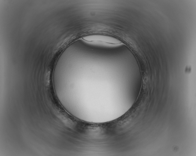 X0000090910454200708201746