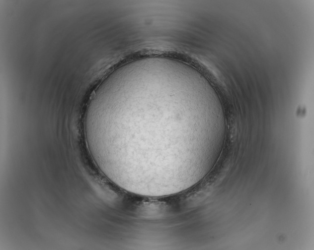 X0000090910455200708201746