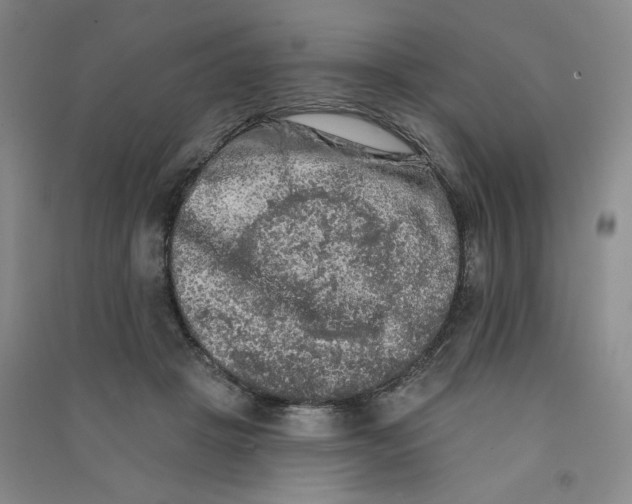 X0000090910457200708201746