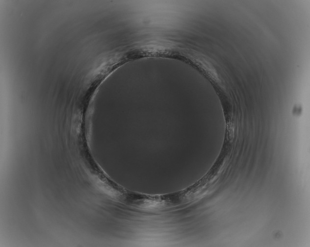 X0000090910458200708201746