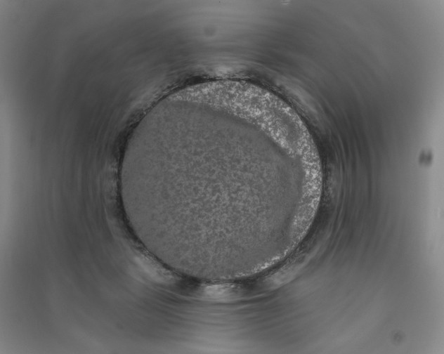 X0000090910461200708201746