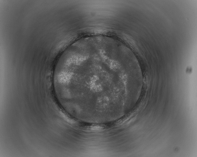 X0000090910462200708201746