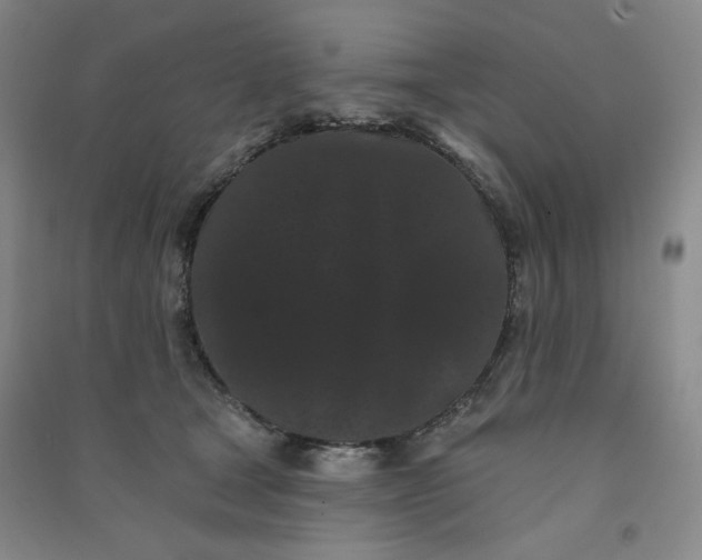 X0000090910465200708201746